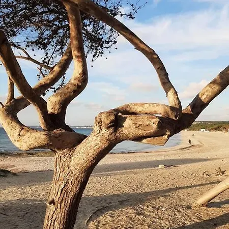 Apartamento Le Giraffe *