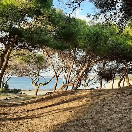 Apartamento Le Giraffe *